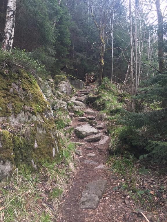 Blockhaus An Der Skiwiese Braunlage Esterno foto