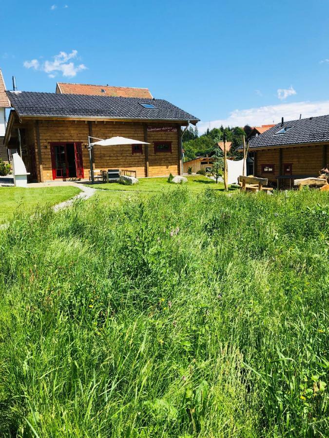 Blockhaus An Der Skiwiese Braunlage Esterno foto